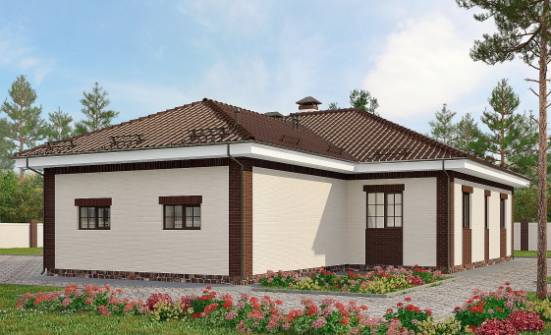 160-015-П Проект одноэтажного дома и гаражом, уютный загородный дом из блока Павловск | Проекты домов от House Expert